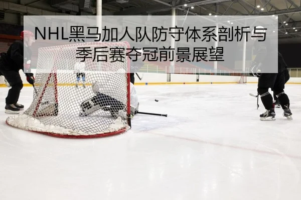 NHL黑马加人队防守体系剖析与季后赛夺冠前景展望