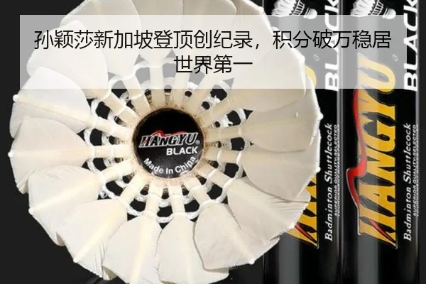 孙颖莎新加坡登顶创纪录，积分破万稳居世界第一